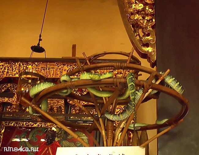 Храм со змеями на о. Пинанг