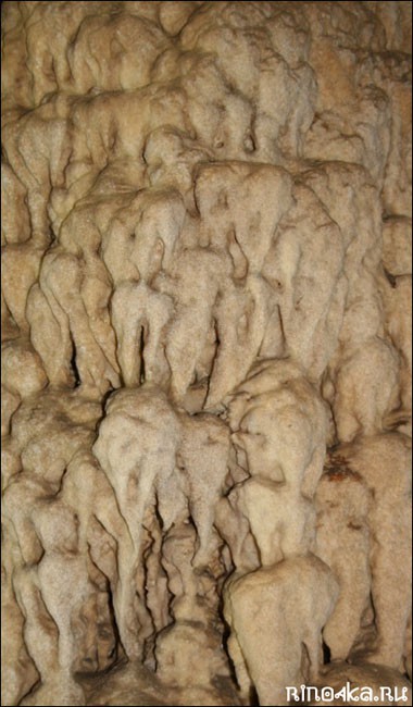 Причудливые слоны-сталактиты