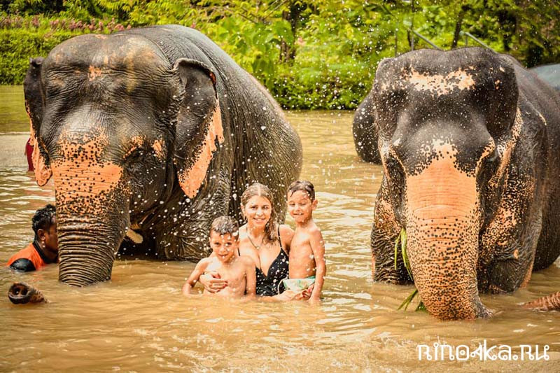 экскурсия купание слоны пхукет