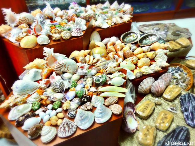 музей морских раковин на Пхукете