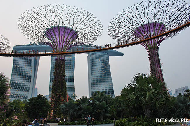 Сады у залива в Сингапуре