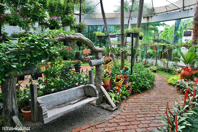 Ботанический сад на Пхукете, пхукетский парк орхидей, красивые места на Пхукете, куда пойти с детьми