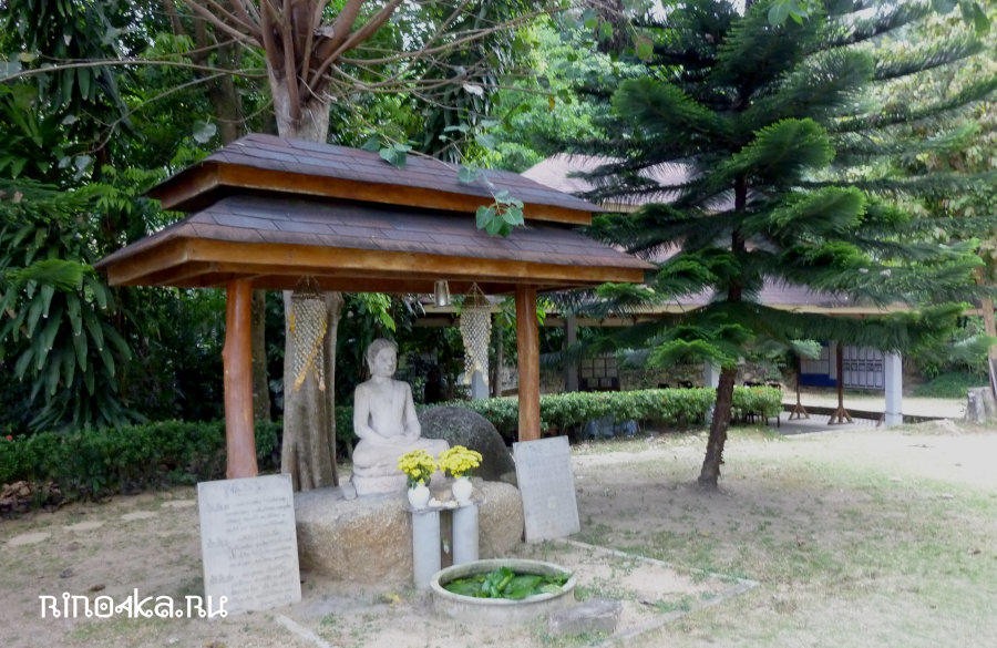 ретрит випассаны в тайланде