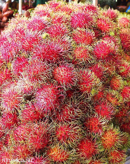 Фрукты в Тайланде, тайские фрукты, Фрукты Таиланда, экзотические фрукты