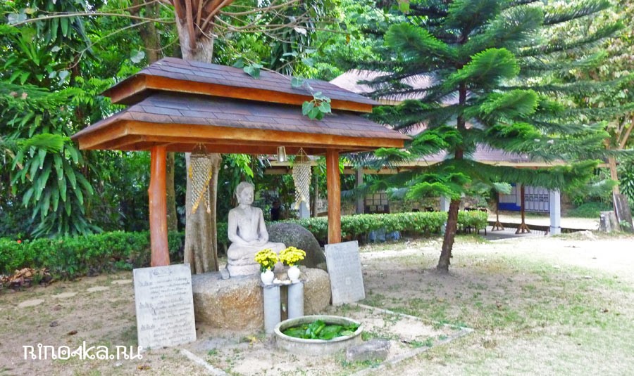 ретрит випассаны в тайланде