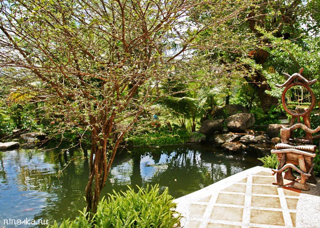 Ботанический сад на Пхукете, пхукетский парк орхидей, красивые места на Пхукете, куда пойти с детьми