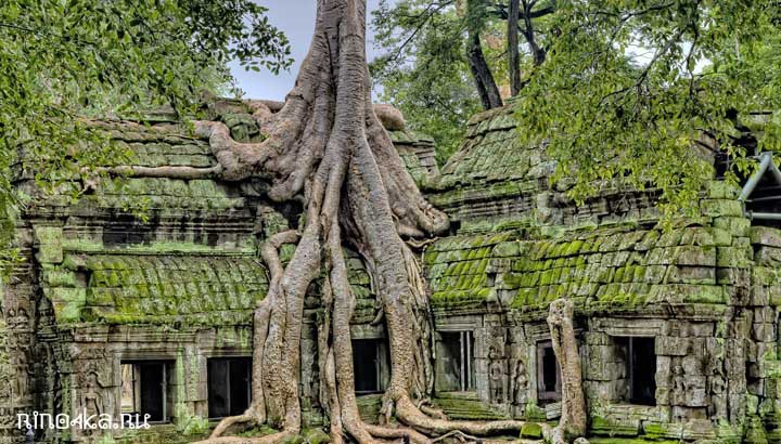 Экскурсия в Ангкор с Пхукета