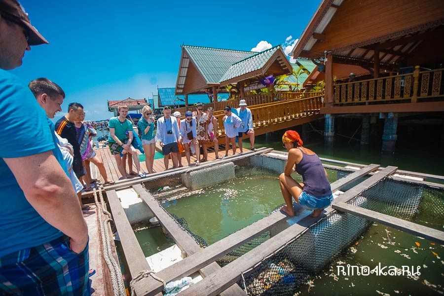 экскурсии остров бонда на Пхукете