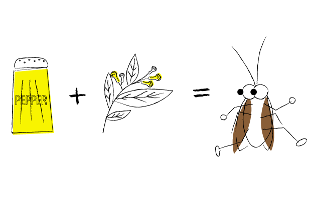 Как бороться с насекомыми в Таиланде