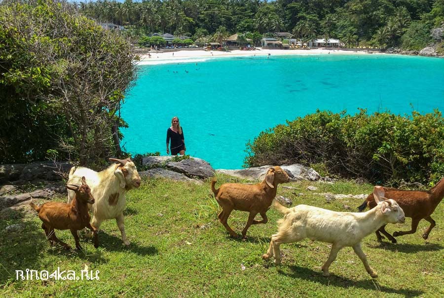 Остров Рача Яй